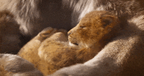 Lion King 2019 CGI